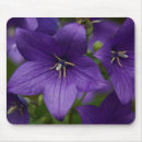 Search for bellflower mousepads Flowers