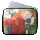 Search for parakeet electronics Bird