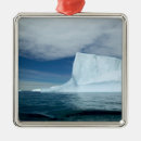 Search for coast christmas tree decorations Cold