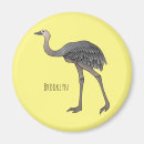 Search for flightless magnets Bird
