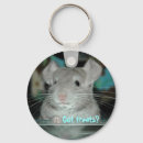 Search for or treat key rings Treats