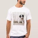 Search for pet dog photo mens clothing Photography