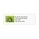 Search for mallard return address labels Wildlife