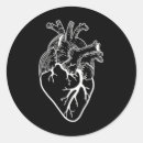 Search for anatomical heart stickers Nurse