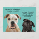 Search for black mask postcards Funny