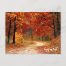 Search for fall tree postcards Orange