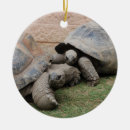 Search for tortoise christmas tree decorations Cute