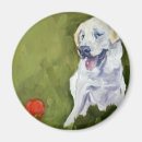 Search for lab” magnets Yellow