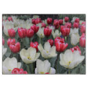 Search for tulip gifts Dutch