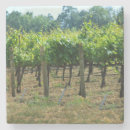 Search for vine coasters Green