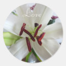 Search for white lily stickers Nature