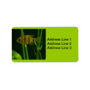 Search for aquarium return address labels Nature