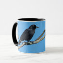 Search for common blue mugs Bird