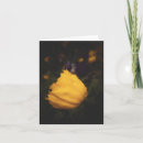 Search for raining note cards Photography