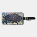 Search for bison accessories Scenic