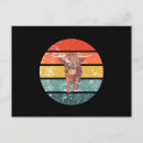 Search for scottish highland cow postcards Cows