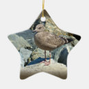 Search for seagull christmas tree decorations Coast