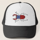 Search for beetle hats Animal