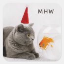 Search for funny photograph stickers Cat