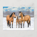 Search for buckskin postcards Winter