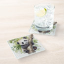 Search for panda bear coasters Watercolor