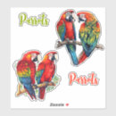 Search for cartoon parrot stickers For kids