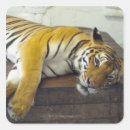 Search for southeast asia stickers Travel destinations
