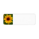 Search for black eyed susan return address labels Flower