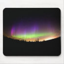 Search for northern mousepads Alaska