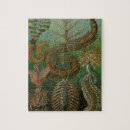 Search for biology puzzles Insects