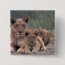 Search for wolf portrait badges Animal
