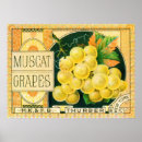 Search for wine label posters Retro