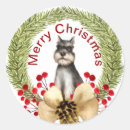 Search for dog owner stickers Schnauzer