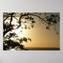 Search for st lucia art Tropical