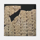 Search for sumerian magnets Iraq