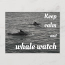 Search for watch cards invites Whale