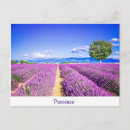 Search for provence postcards Purple
