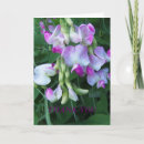Search for pea cards Floral