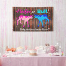 Search for country gender reveal Pink or blue