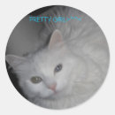 Search for odd stickers Cats
