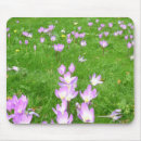 Search for crocus electronics Flower