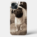 Search for black pug electronics Black and white