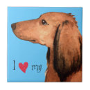 Search for dachshund tiles Teckel