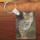 Search for bobcat key rings Wildcat