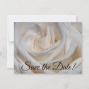 Search for flower petals postcards Rose