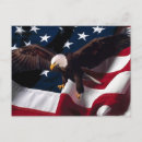Search for bald eagle and american flag postcards Eagles