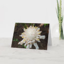 Search for photography thank you cards Landscape