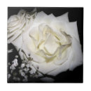 Search for closeup tiles White