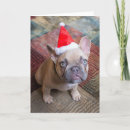 Search for french bulldog christmas cards Pet