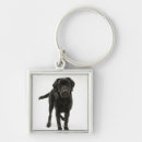 Search for black labrador retriever key rings Cute